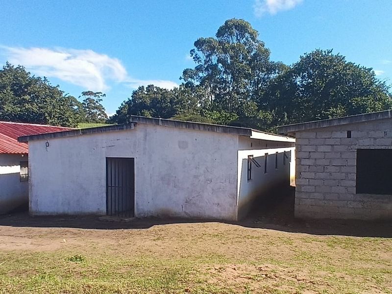 21 rooms Student accommodation, KwaDlangezwa close to University, KwaZulu Natal - Photo 3