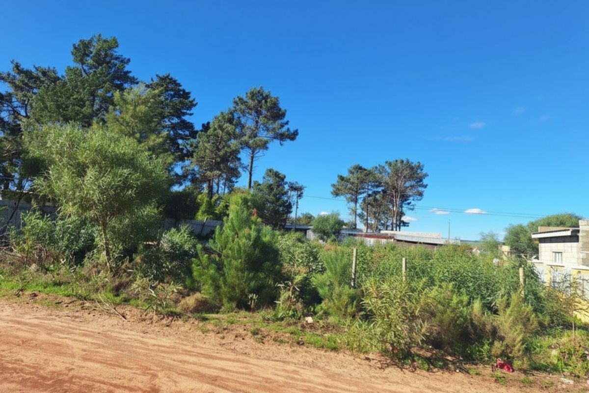 Vacant Land For Sale in Bot River - Photo 4