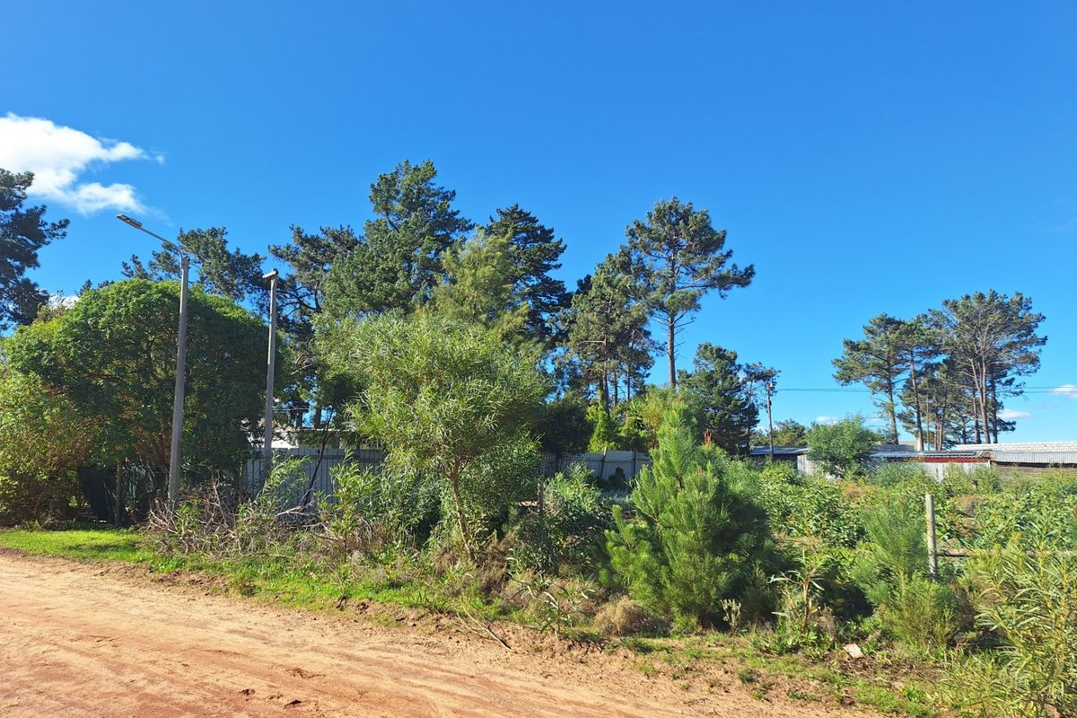 Vacant Land For Sale in Bot River - Photo 3