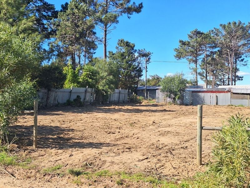 A vacant residential plot featuring cleared sandy ground, perimeter fencing, and mature trees, offering a blank canvas for future development.