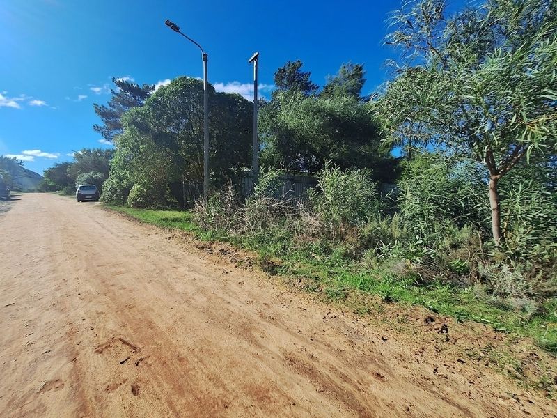A view of the unpaved dirt road frontage and surrounding vegetation bordering the vacant residential land.