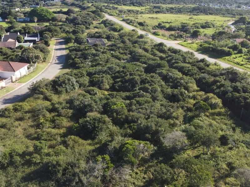 An aerial view of a vacant residential plot covered in dense indigenous vegetation, situated in a developed suburban area with established road access.