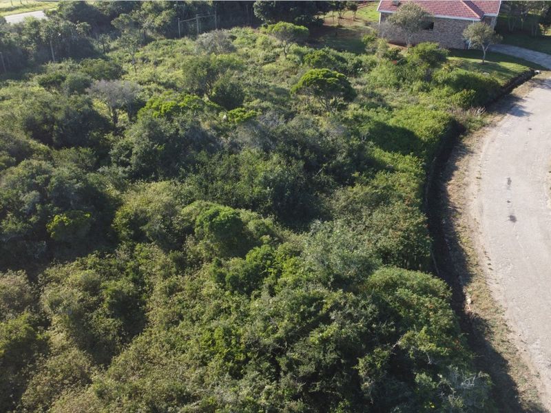An aerial view of a vacant residential plot featuring dense natural vegetation and direct access to an adjacent gravel road.