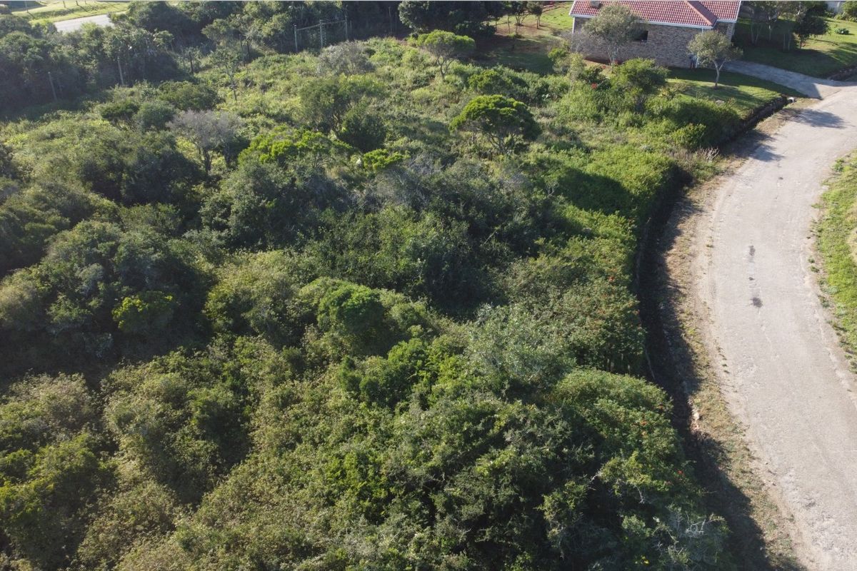 An aerial view of a vacant residential plot featuring dense natural vegetation and direct access to an adjacent gravel road.
