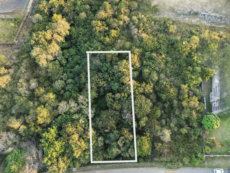An aerial view of a vacant residential plot heavily covered in dense vegetation and trees, showing the property boundary outline.