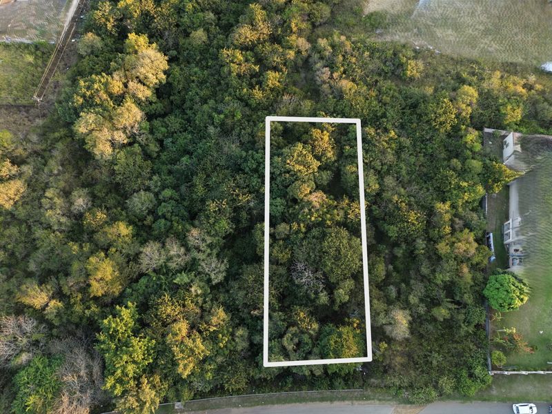 Aerial view of a vacant residential plot heavily covered with mature trees and dense vegetation.