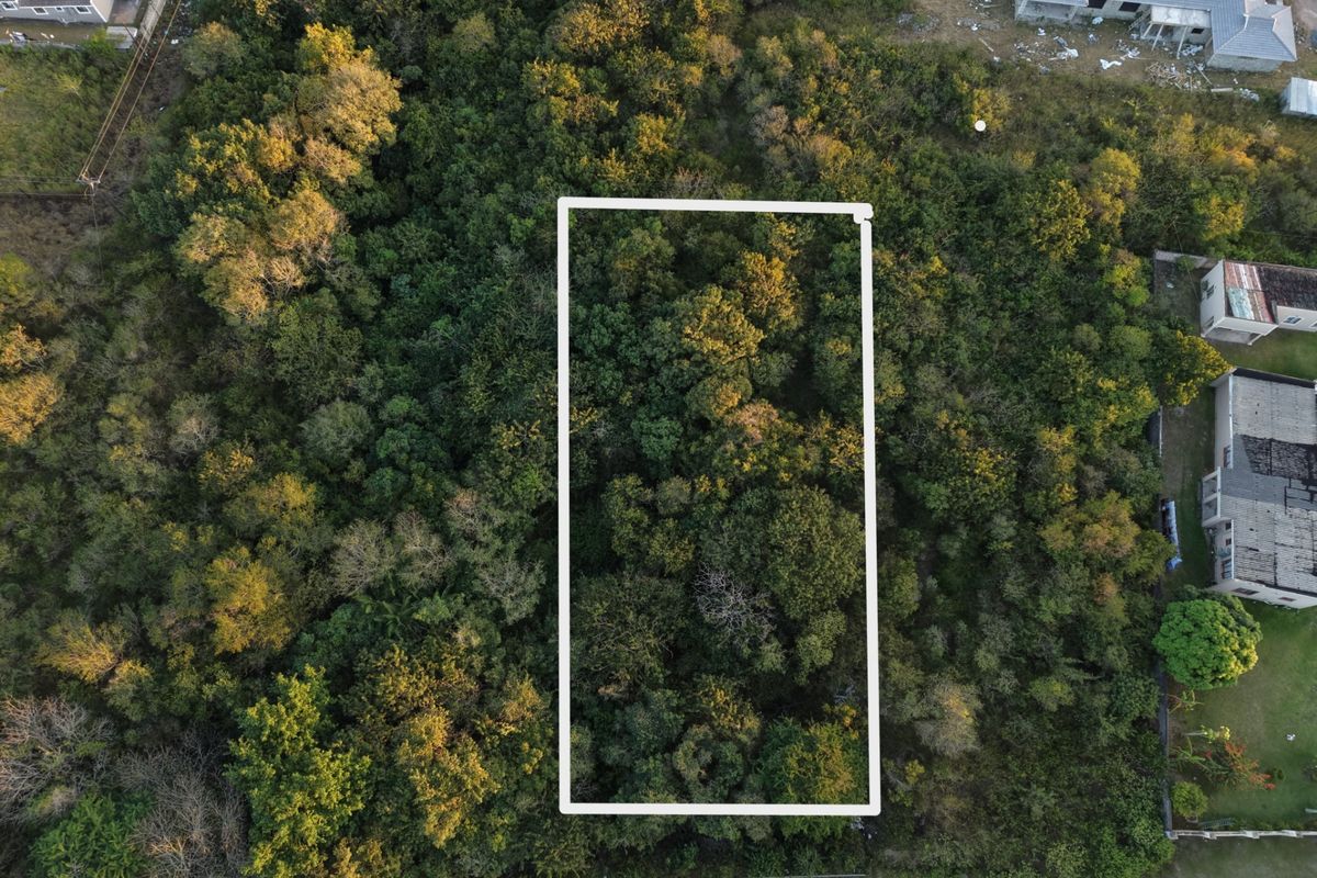 Aerial view of a vacant residential plot densely covered with mature trees and vegetation, highlighting the property boundaries.