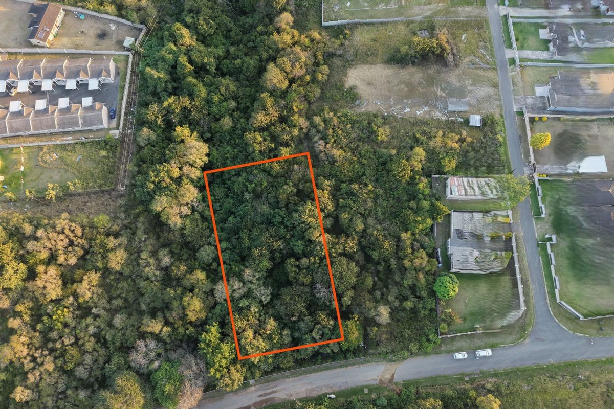 Aerial view of a vacant residential plot densely covered with mature trees and vegetation, highlighting the property boundaries.