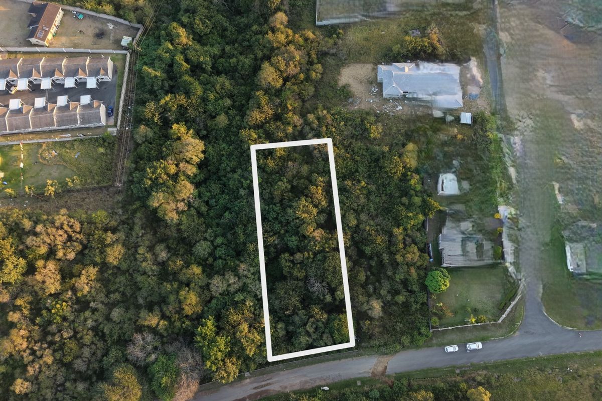 An aerial view of a vacant residential plot surrounded by dense vegetation and established neighborhood infrastructure.