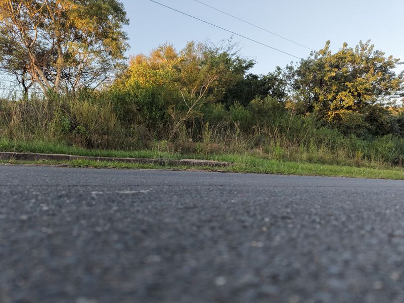 A low-angle view of the street frontage showing the asphalt road, concrete curb, and natural vegetation bordering the vacant residential land.