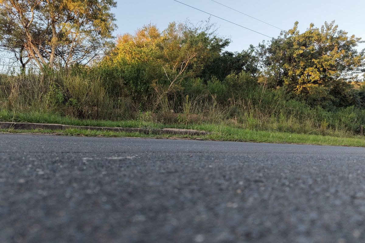 A low-angle view of the street frontage showing the asphalt road, concrete curb, and natural vegetation bordering the vacant residential land.