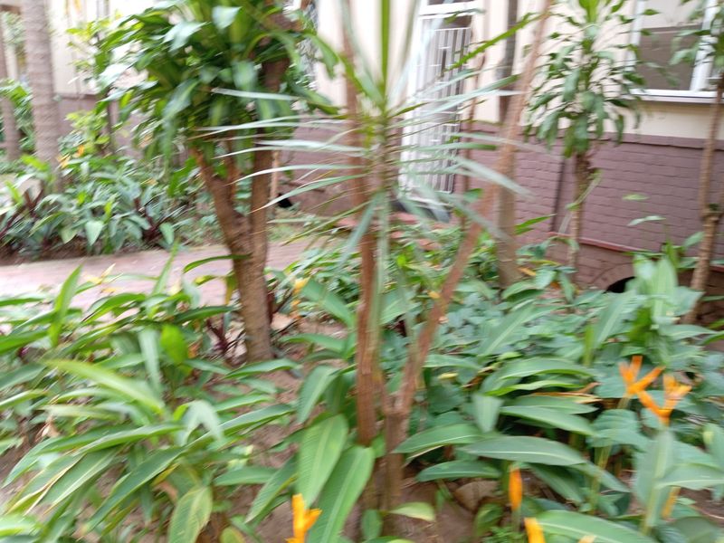Apartment For Sale in Durban Central, Durban, KwaZulu Natal - Photo 6