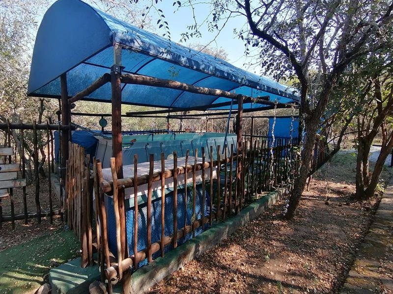 Dual-Living Opportunity Next to Lionspruit! - Photo 7