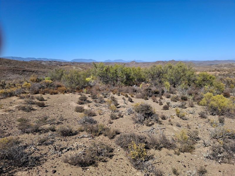 Expansive view of the natural arid landscape and distant mountain ranges, showcasing the open terrain of the farm property.