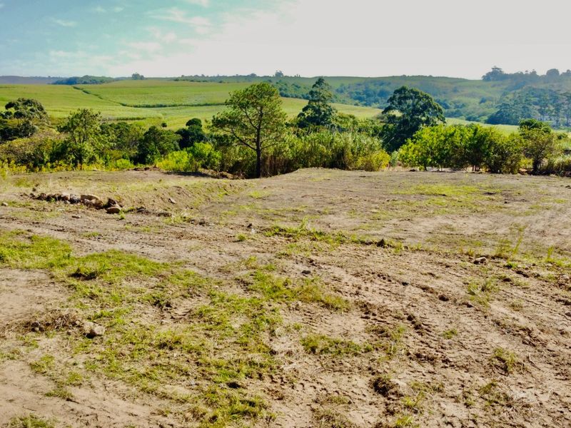 Exceptional Development Opportunity in Popular Industrial Area - Photo 7