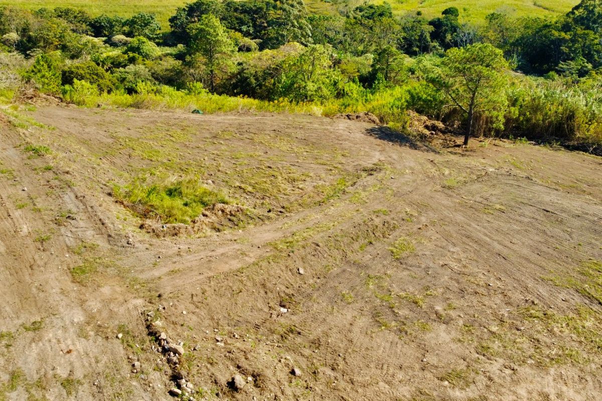 Exceptional Development Opportunity in Popular Industrial Area - Photo 3