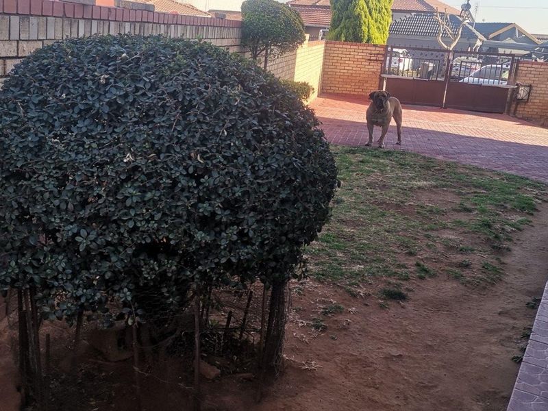 House For Sale in Commercia, Midrand - Photo 7