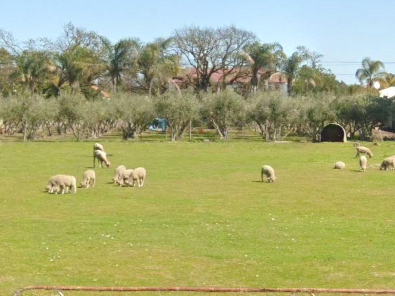 2855 sqm plot - fully fenced with gate  in Porterville - Photo 6