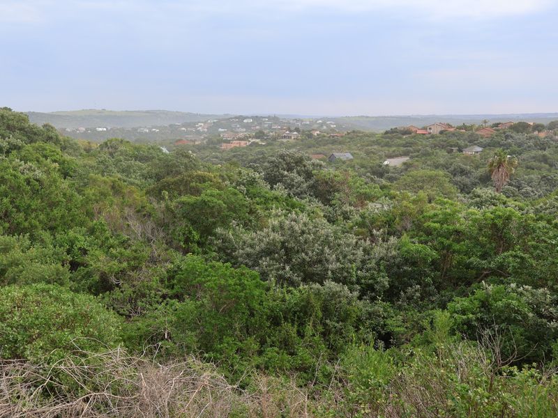 A scenic elevated view overlooking a lush, densely vegetated landscape with distant residential properties visible on the horizon.