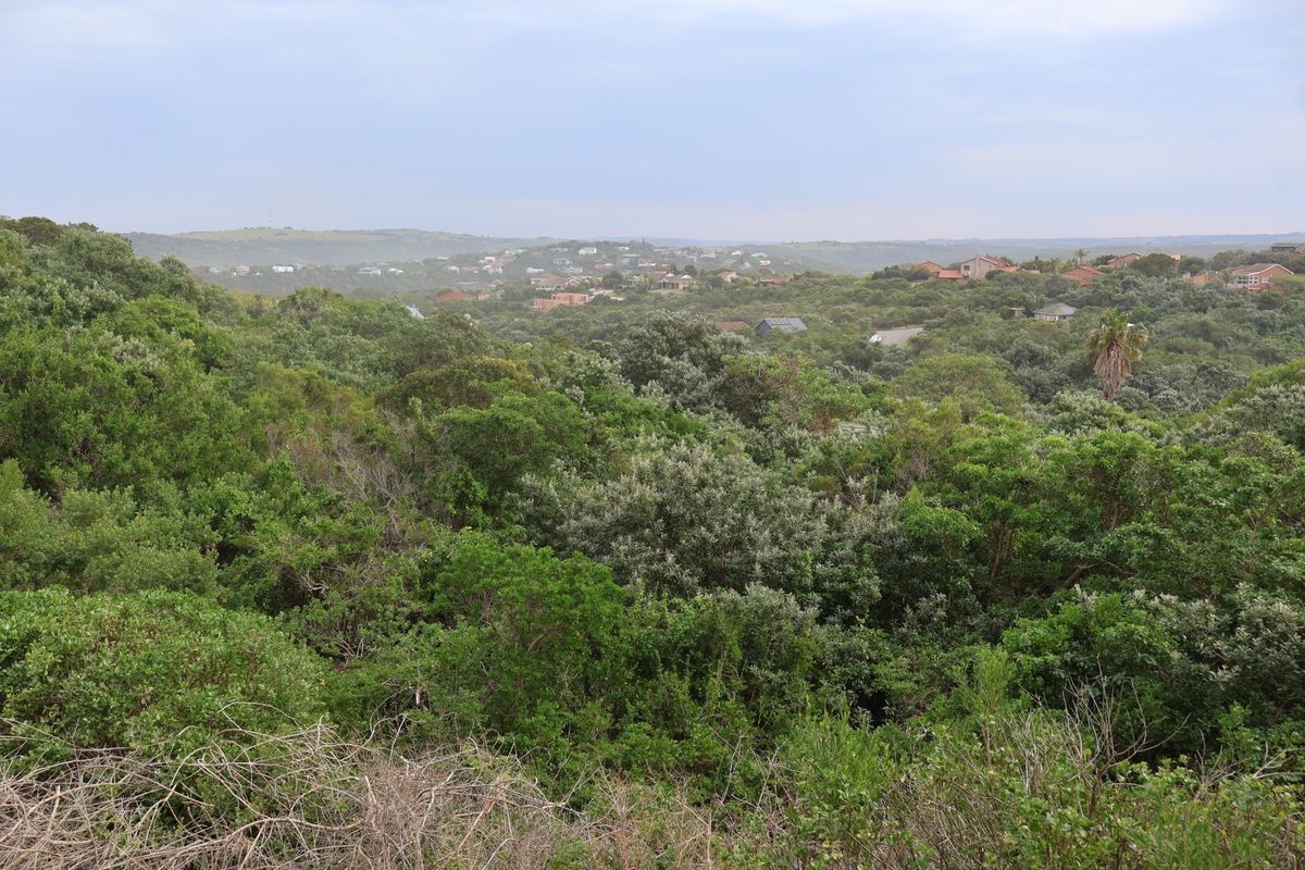 A scenic elevated view overlooking a lush, densely vegetated landscape with distant residential properties visible on the horizon.