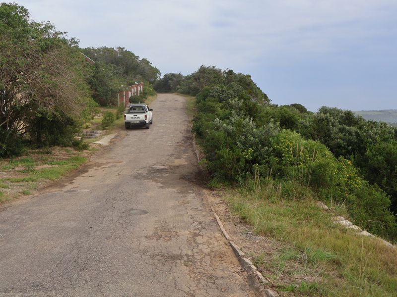 A view of an access road leading to the residential property, featuring natural vegetation and a worn asphalt surface.
