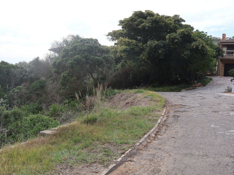 A view of a residential vacant land plot featuring a paved driveway with visible surface wear and surrounding natural vegetation.