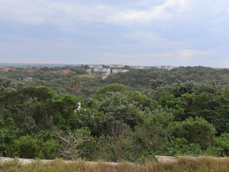 A scenic elevated view overlooking a lush, densely wooded landscape with residential properties visible in the distance.