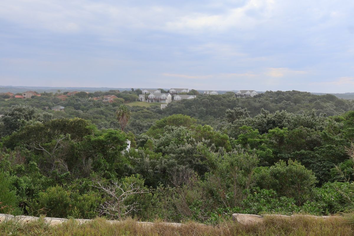 A scenic elevated view overlooking a lush, densely wooded landscape with residential properties visible in the distance.