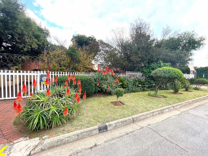 A well-maintained street-facing garden featuring established aloe plants, manicured shrubs, and a secure white perimeter fence with razor wire.