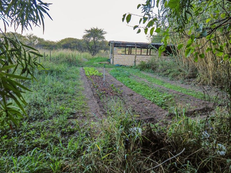 Farm For Sale in Bultfontein AH, Wonderboom - Photo 4