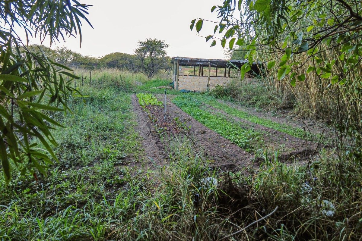 Farm For Sale in Bultfontein AH, Wonderboom - Photo 4