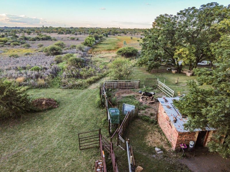 Farm For Sale in Bultfontein AH, Wonderboom - Photo 7