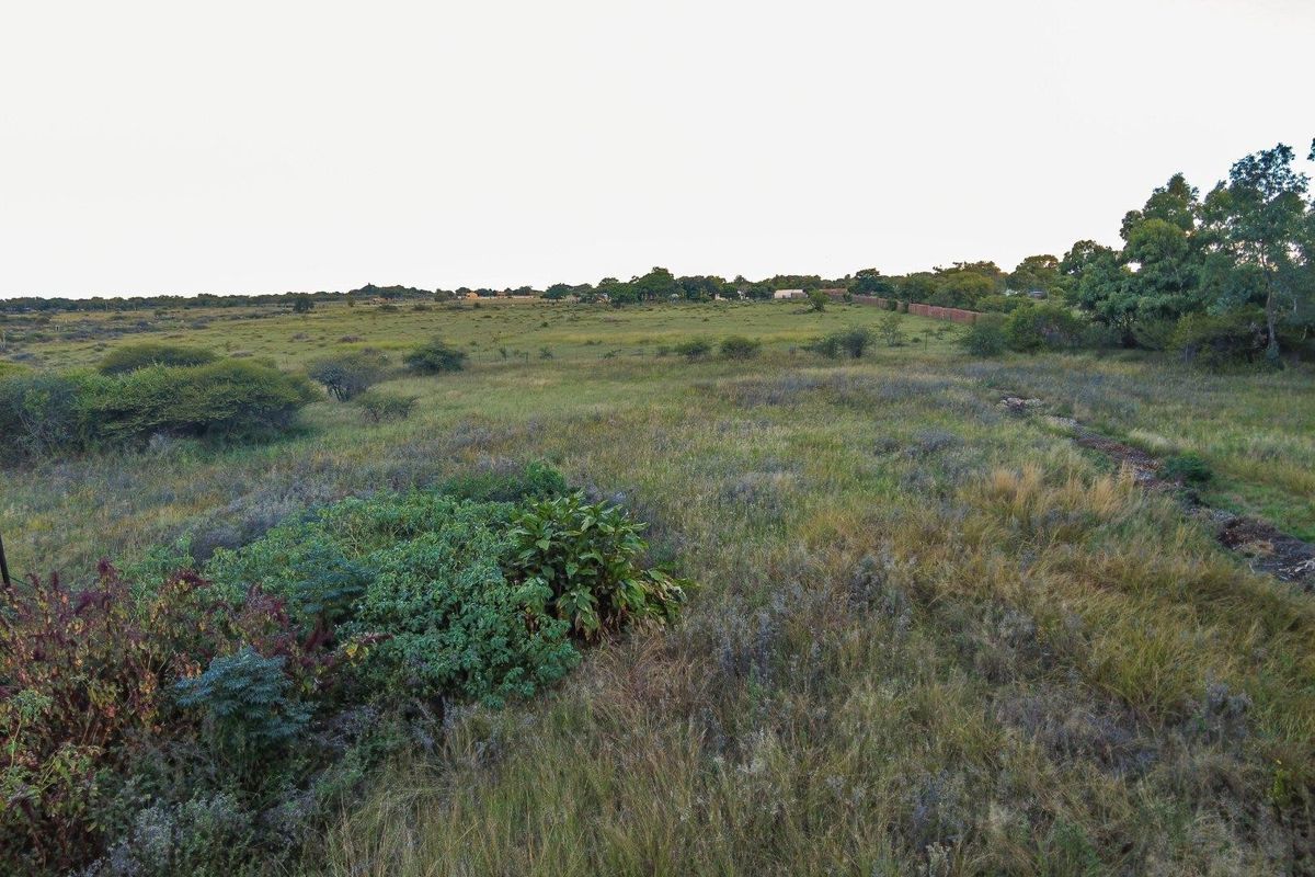 Farm For Sale in Bultfontein AH, Wonderboom - Photo 3