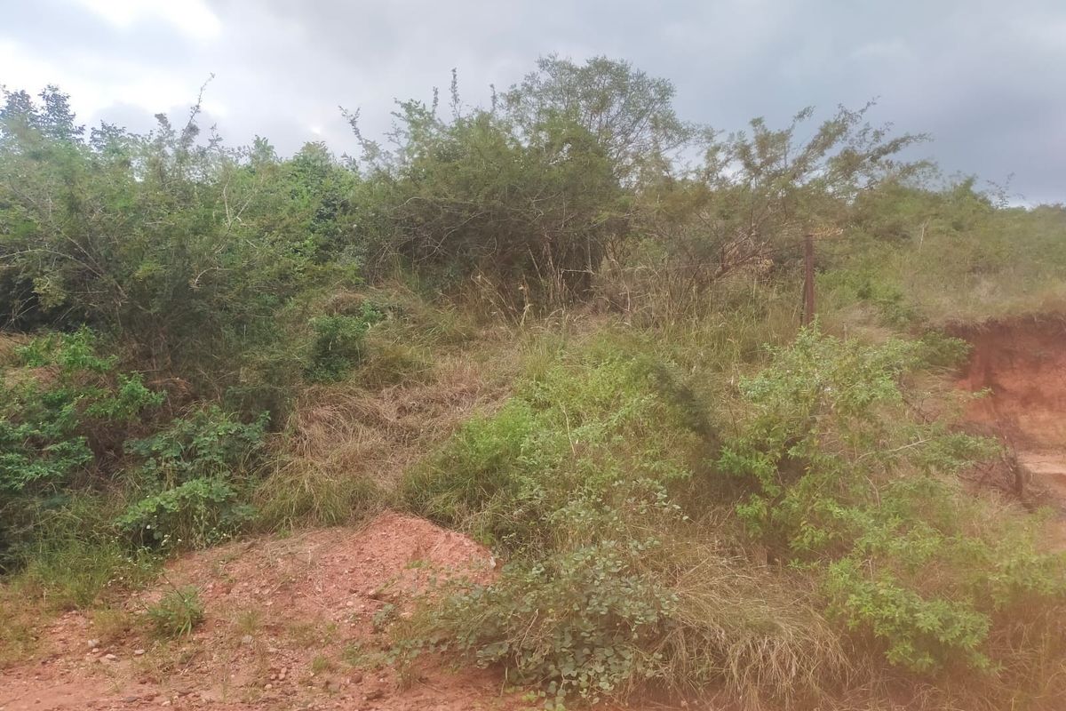 Vacant Land For Sale in Thohoyandou Unit S - Photo 5