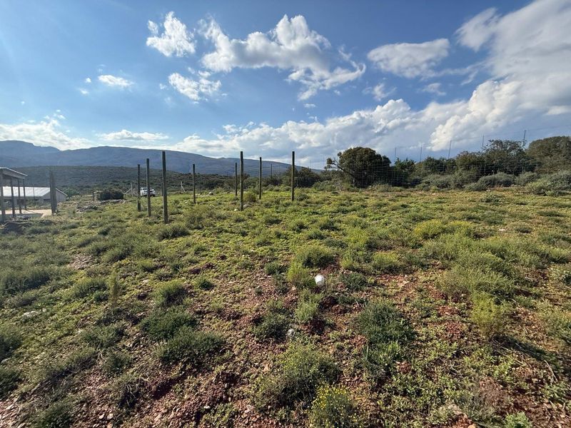 Farm For Sale in Van Wyksdorp, Ladismith - Photo 6
