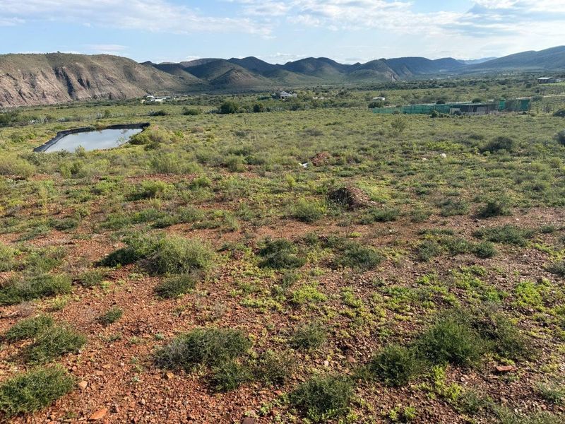 Farm For Sale in Van Wyksdorp, Ladismith - Photo 8
