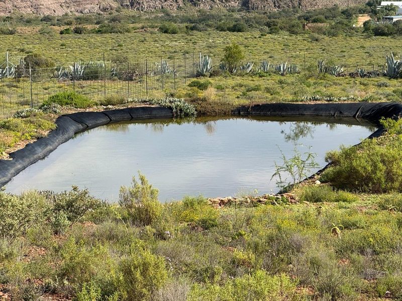 Farm For Sale in Van Wyksdorp, Ladismith - Photo 3