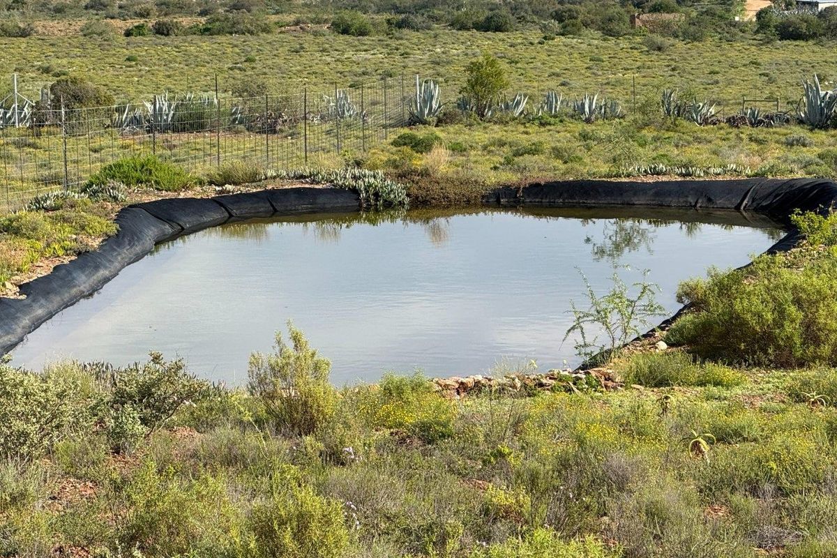 Farm For Sale in Van Wyksdorp, Ladismith - Photo 3