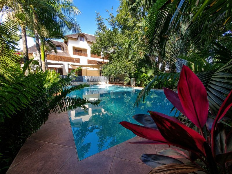 Prestigious 11-Bedroom Luxury Investment in the Gateway to Kruger National Park - Photo 7