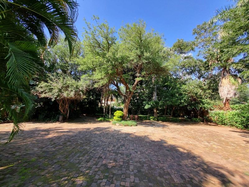 Prestigious 11-Bedroom Luxury Investment in the Gateway to Kruger National Park - Photo 6