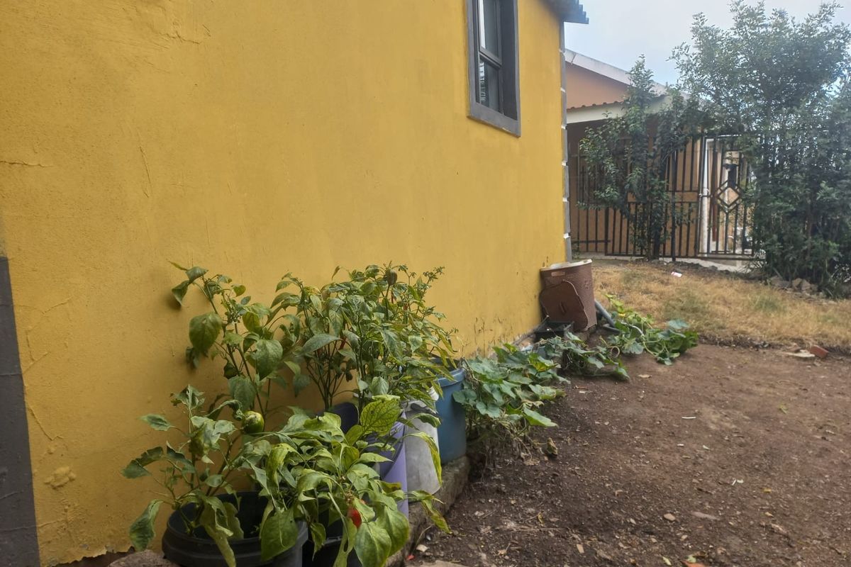 A view of the side exterior wall of the house, featuring a yellow painted facade and adjacent garden area.