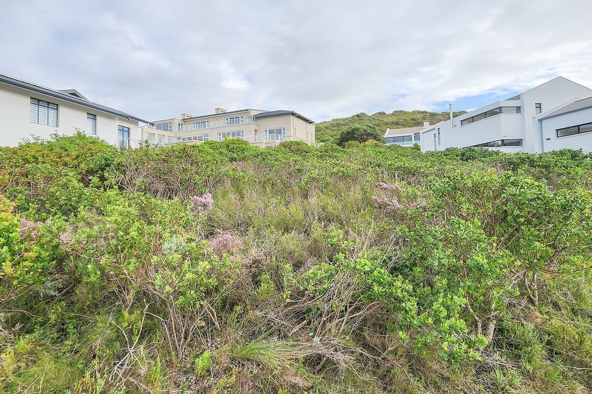A view of a vacant residential plot covered in dense indigenous coastal vegetation, situated within a developed neighborhood with surrounding modern homes.