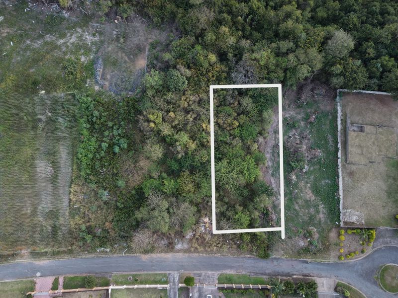 Aerial view of a vacant residential plot featuring natural vegetation and direct street access.