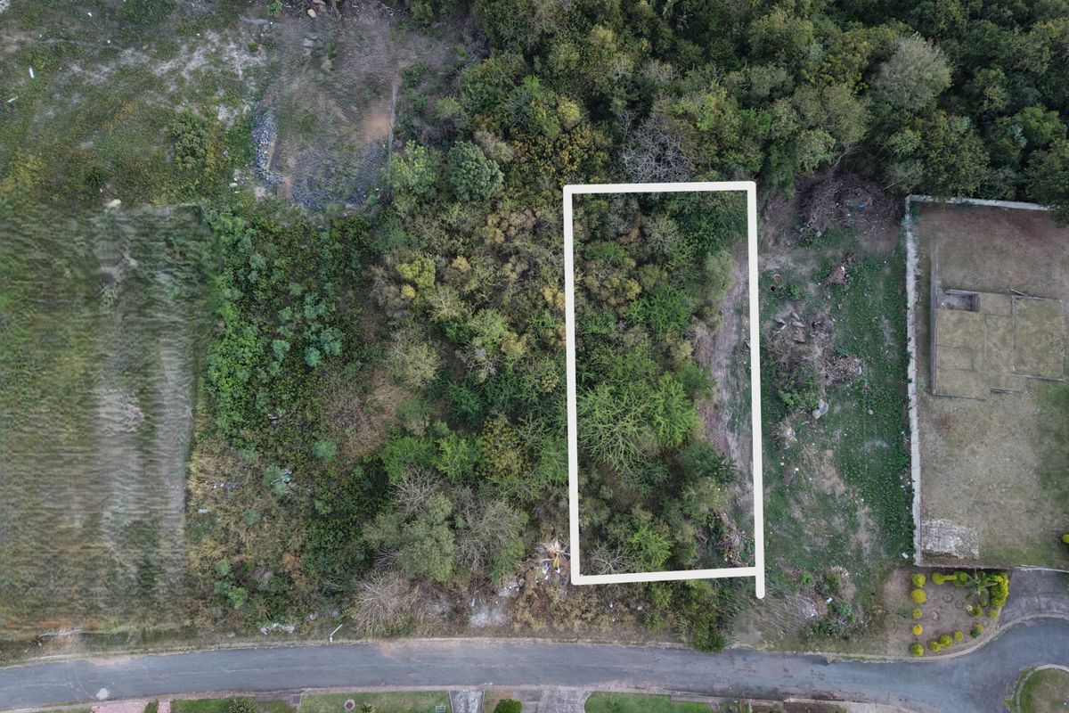 Aerial view of a vacant residential plot featuring natural vegetation and direct street access.