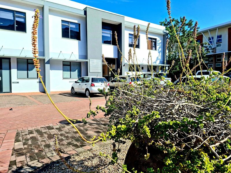 Office To Rent in Westville, Durban, KwaZulu Natal - Photo 1