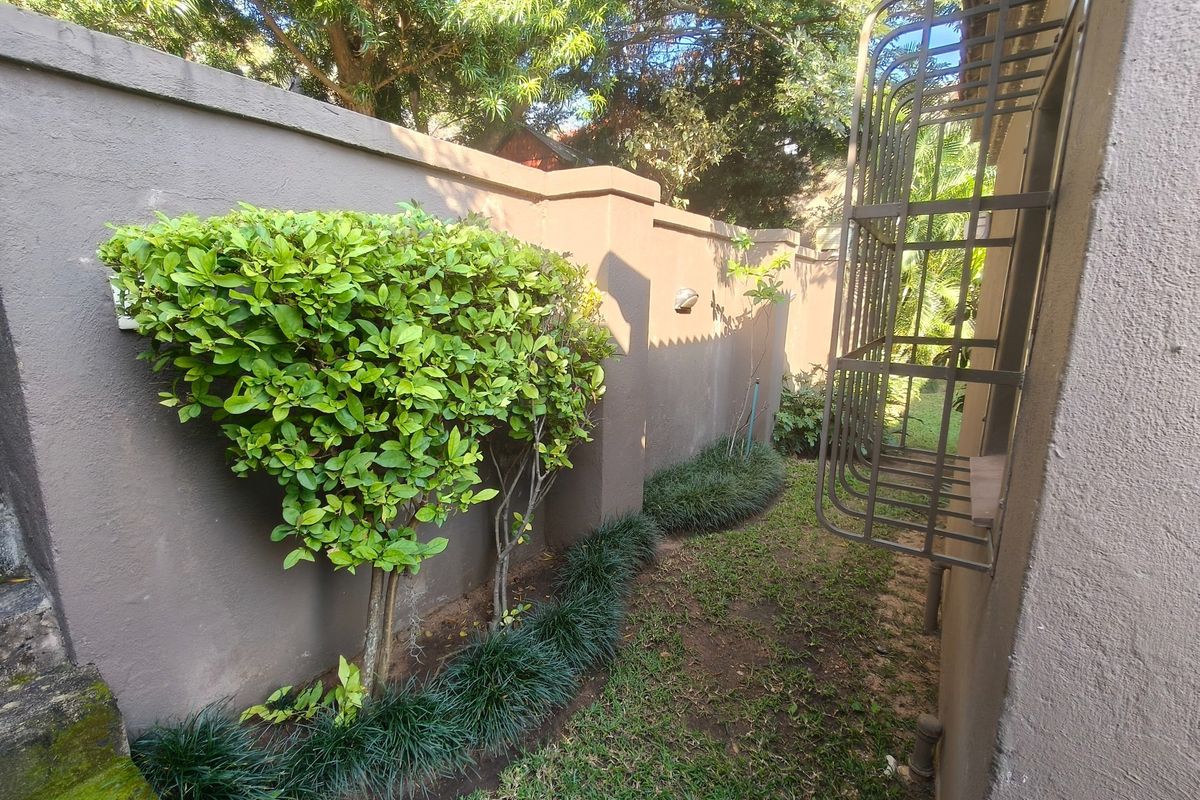 A side garden pathway featuring a solid boundary wall, manicured landscaping, and a metal security cage attached to the building exterior.