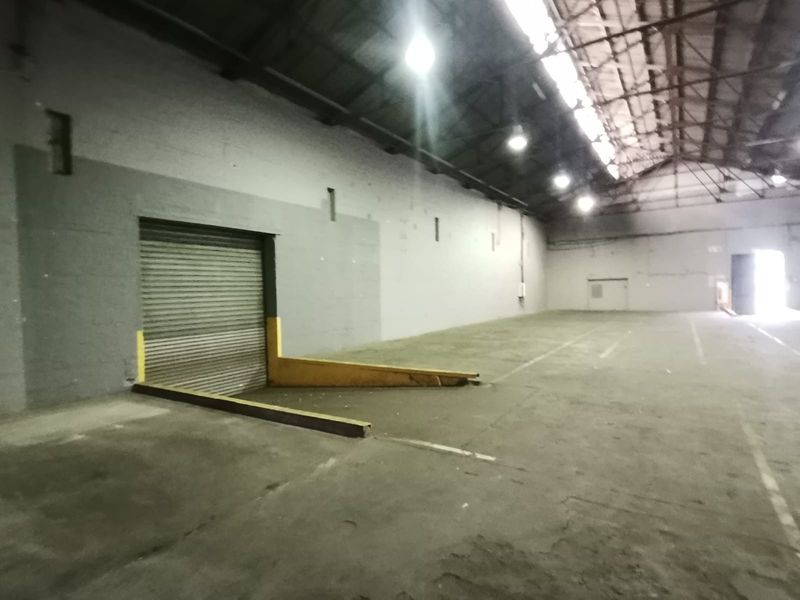 Spacious industrial warehouse featuring high ceilings, overhead lighting, and a dedicated roller shutter loading bay with a concrete ramp.