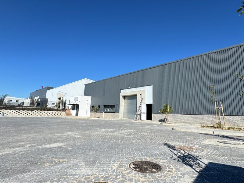 Available Now | A-Grade 976m2 Newly Developed Warehouse To Let in Atlantic Hills, Cape Town. - Photo 8