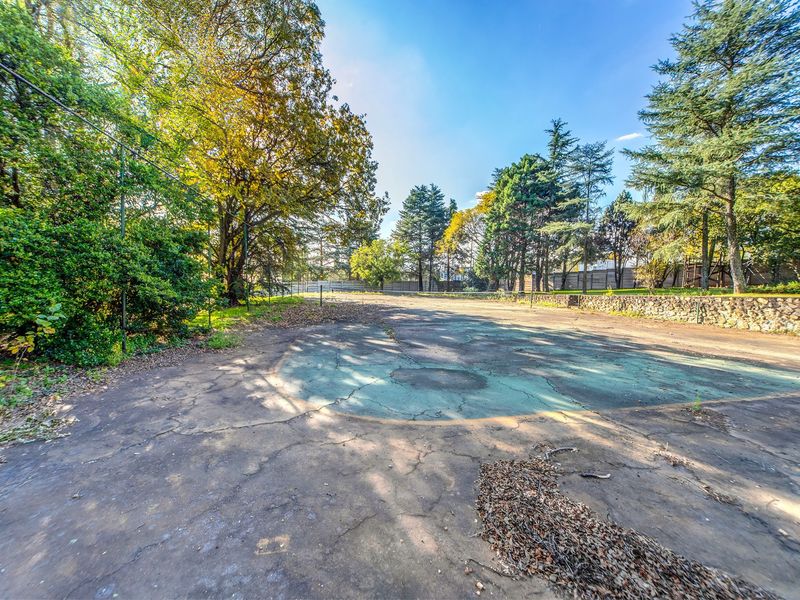 An outdoor sports facility featuring a weathered, cracked asphalt court surface surrounded by mature trees and a stone retaining wall.