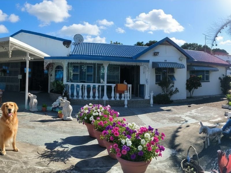 Front elevation of a single-story house featuring a covered patio, blue tiled roof, and a paved driveway area.